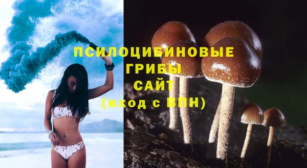 скорость Нея