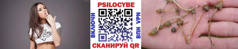 mega зеркало  Бабаево  Псилоцибиновые грибы мухоморы 