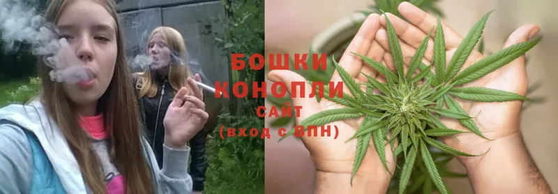 Марихуана SATIVA & INDICA  Бабаево 